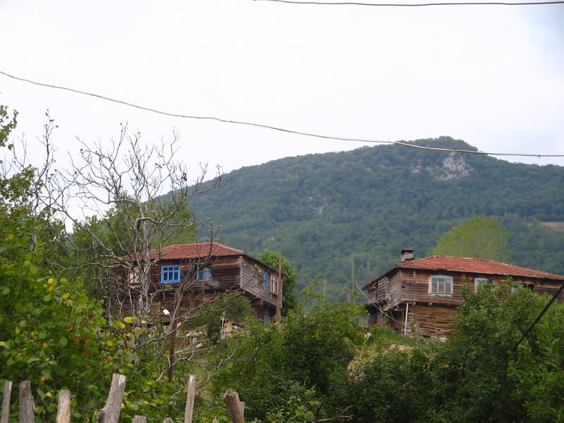 aya21050.jpg