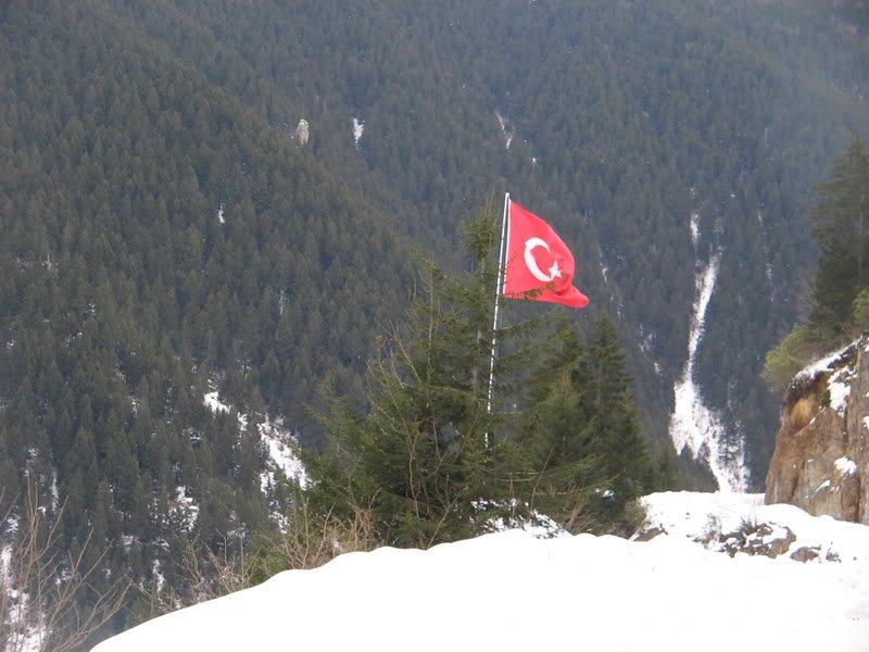aya3038.jpg