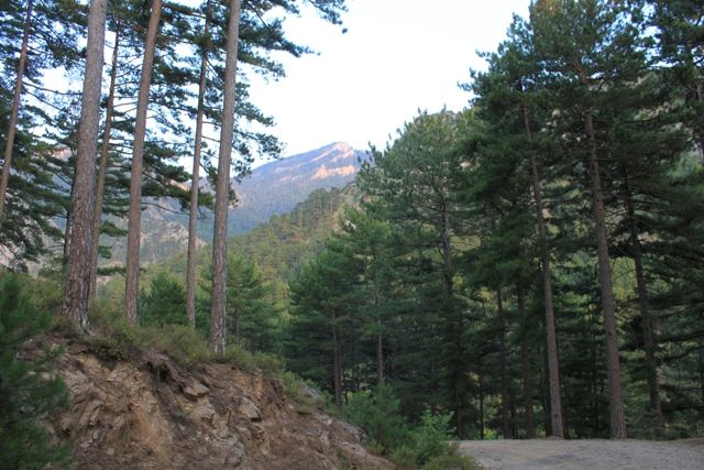 Ayazma_2623.jpg