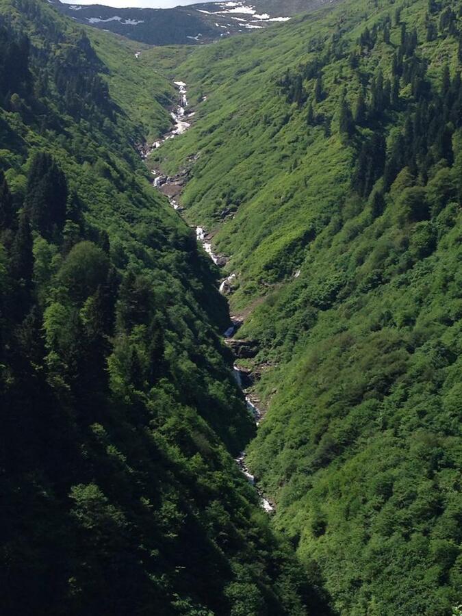 ayder manzara.jpg