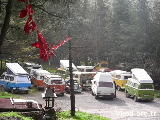Aydos_Ormani_2010Subat_076a.jpg