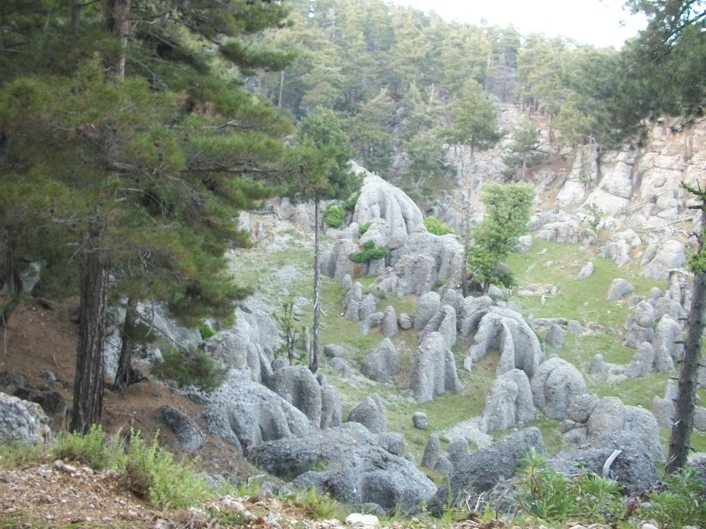 AYSUN ANTALYADA 065.jpg