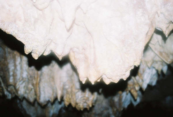 ayvaini10.jpg