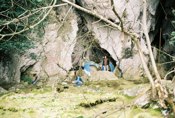 ayvaini14.jpg