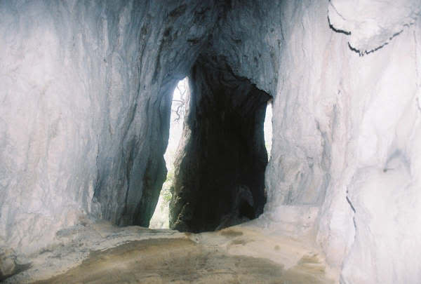 ayvaini16.jpg