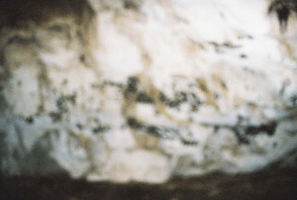 ayvaini8.jpg