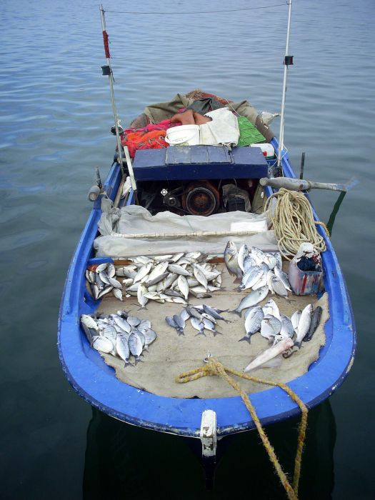 AYVALIK 2008 RAMAZAN BAYRAMI18.jpg