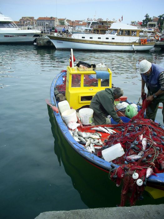 AYVALIK 2008 RAMAZAN BAYRAMI19