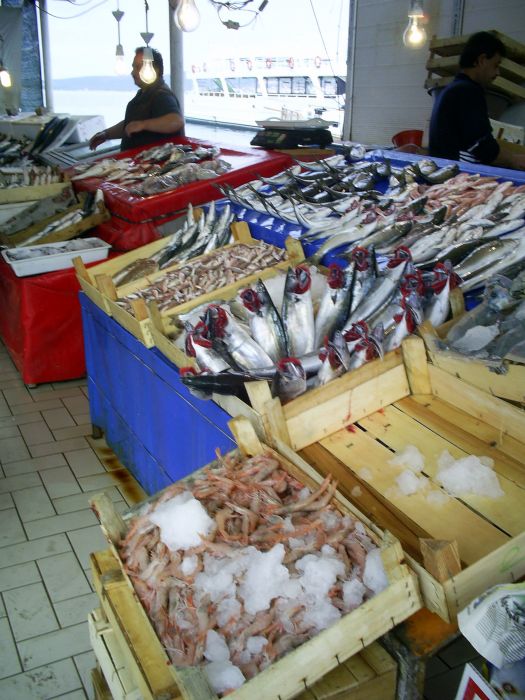 AYVALIK 2008 RAMAZAN BAYRAMI21.jpg