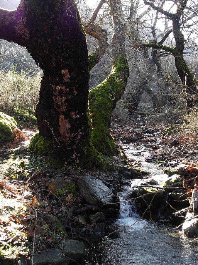 BaÃƒÂƒÃ‚Â„ÃƒÂ‚Ã‚ÂŸyurdu DededaÃƒÂƒÃ‚Â„ÃƒÂ‚Ã‚ÂŸ (05 ÃƒÂƒÃ‚Â…ÃƒÂ‚Ã‚Âžubat 2012)  00004.jpg