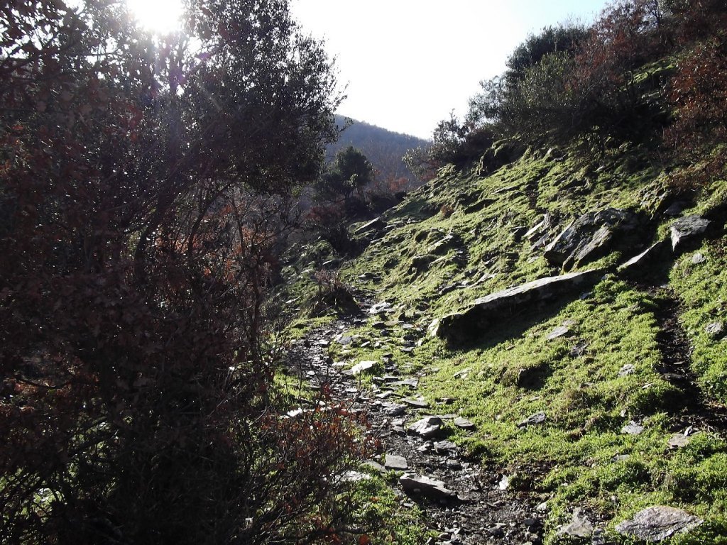 BaÃƒÂƒÃ‚Â„ÃƒÂ‚Ã‚ÂŸyurdu DededaÃƒÂƒÃ‚Â„ÃƒÂ‚Ã‚ÂŸ (05 ÃƒÂƒÃ‚Â…ÃƒÂ‚Ã‚Âžubat 2012)  00010.jpg