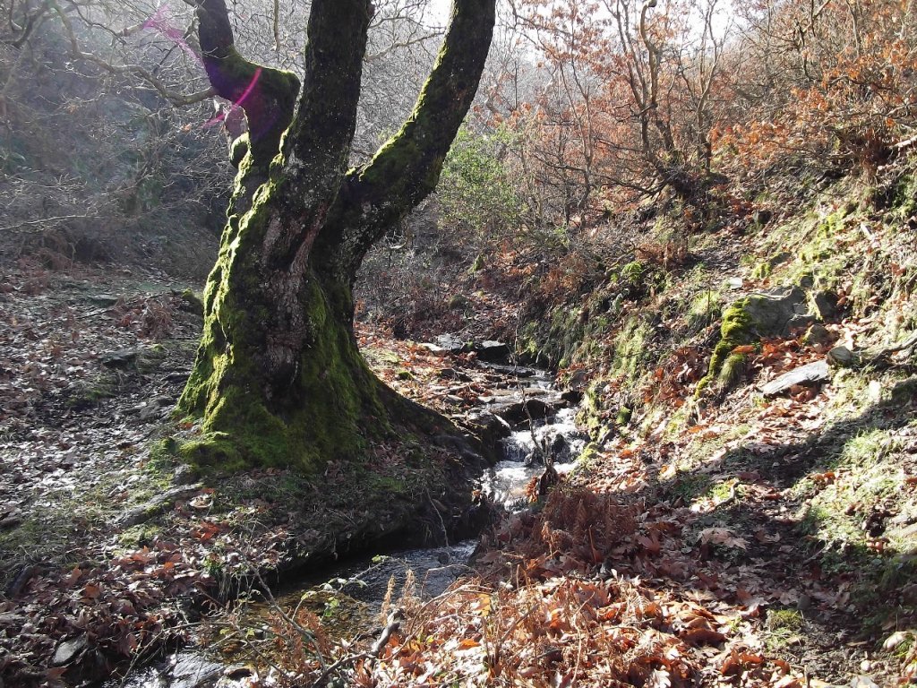 BaÃƒÂƒÃ‚Â„ÃƒÂ‚Ã‚ÂŸyurdu DededaÃƒÂƒÃ‚Â„ÃƒÂ‚Ã‚ÂŸ (05 ÃƒÂƒÃ‚Â…ÃƒÂ‚Ã‚Âžubat 2012)  00014.jpg