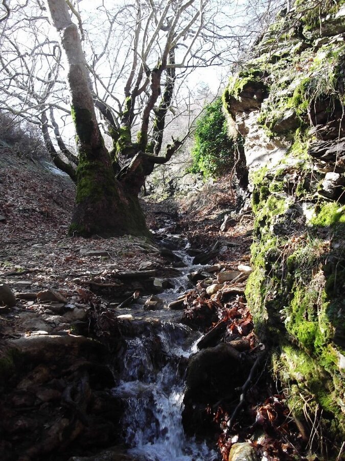 BaÃƒÂƒÃ‚Â„ÃƒÂ‚Ã‚ÂŸyurdu DededaÃƒÂƒÃ‚Â„ÃƒÂ‚Ã‚ÂŸ (05 ÃƒÂƒÃ‚Â…ÃƒÂ‚Ã‚Âžubat 2012)  00018.jpg