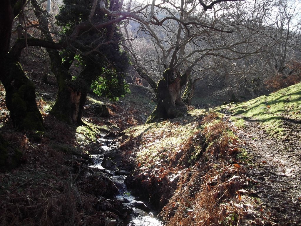 BaÃƒÂƒÃ‚Â„ÃƒÂ‚Ã‚ÂŸyurdu DededaÃƒÂƒÃ‚Â„ÃƒÂ‚Ã‚ÂŸ (05 ÃƒÂƒÃ‚Â…ÃƒÂ‚Ã‚Âžubat 2012)  00020.jpg