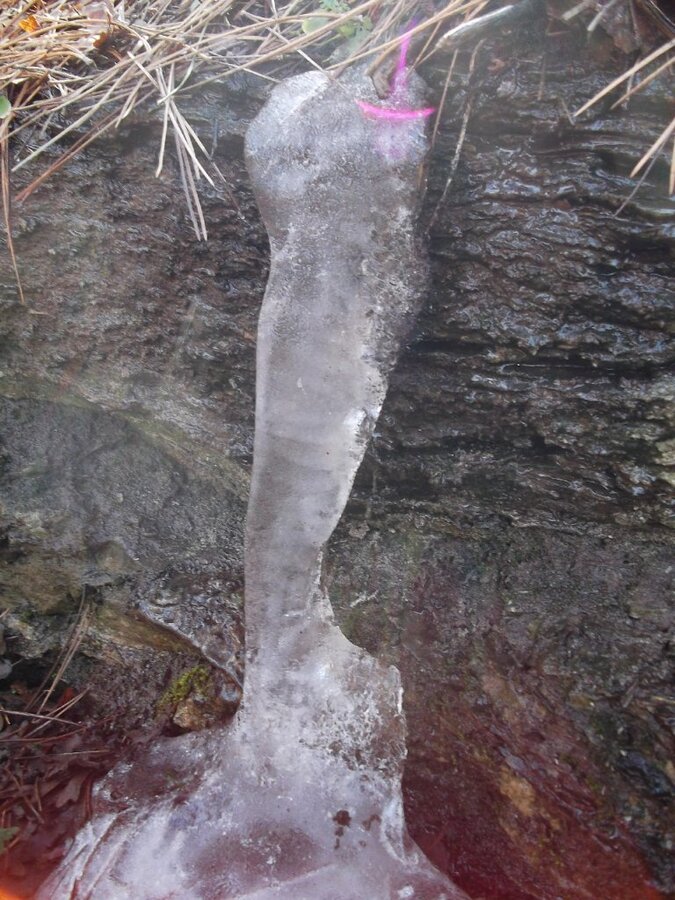 BaÃƒÂƒÃ‚Â„ÃƒÂ‚Ã‚ÂŸyurdu DededaÃƒÂƒÃ‚Â„ÃƒÂ‚Ã‚ÂŸ (05 ÃƒÂƒÃ‚Â…ÃƒÂ‚Ã‚Âžubat 2012)  00026.jpg