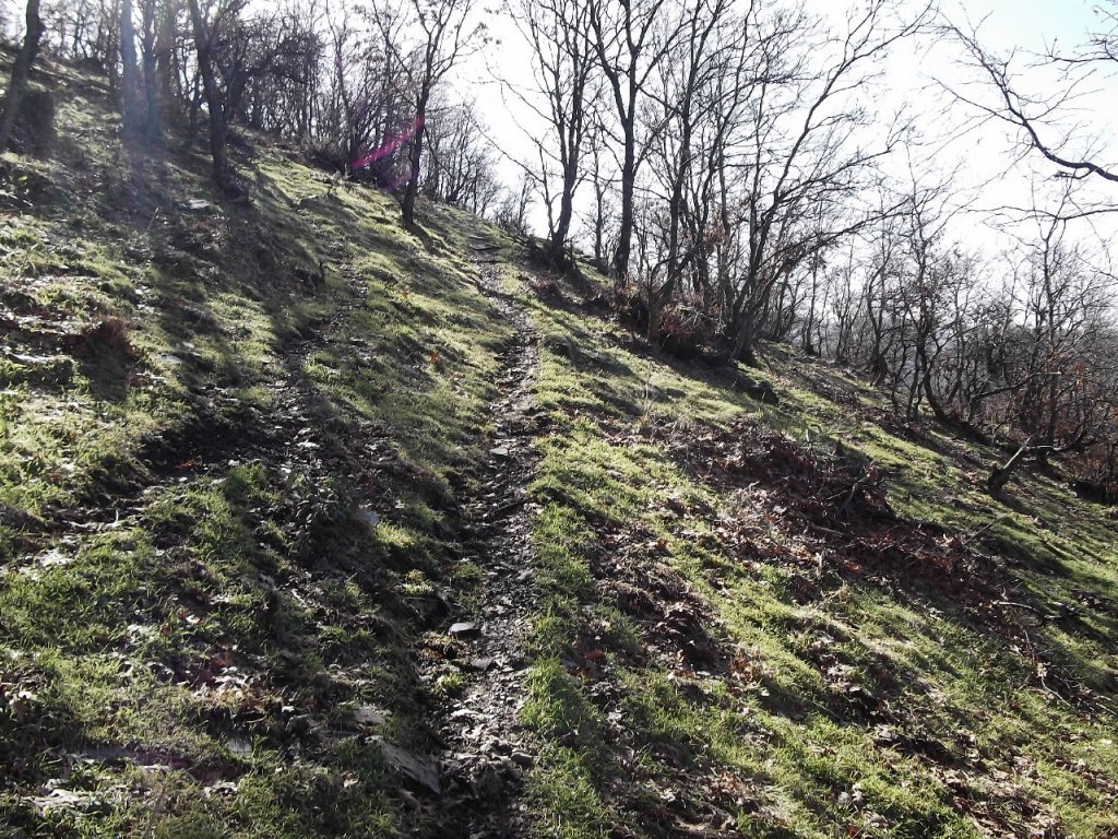 BaÃƒÂƒÃ‚Â„ÃƒÂ‚Ã‚ÂŸyurdu DededaÃƒÂƒÃ‚Â„ÃƒÂ‚Ã‚ÂŸ (05 ÃƒÂƒÃ‚Â…ÃƒÂ‚Ã‚Âžubat 2012)  00029.jpg