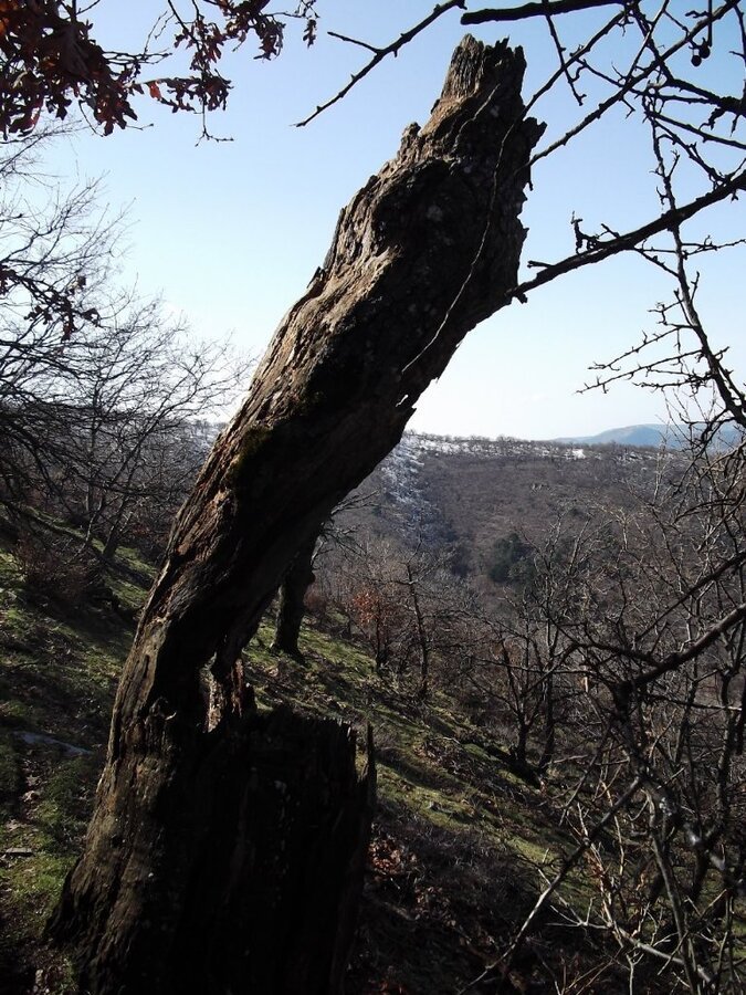 BaÃƒÂƒÃ‚Â„ÃƒÂ‚Ã‚ÂŸyurdu DededaÃƒÂƒÃ‚Â„ÃƒÂ‚Ã‚ÂŸ (05 ÃƒÂƒÃ‚Â…ÃƒÂ‚Ã‚Âžubat 2012)  00030.jpg