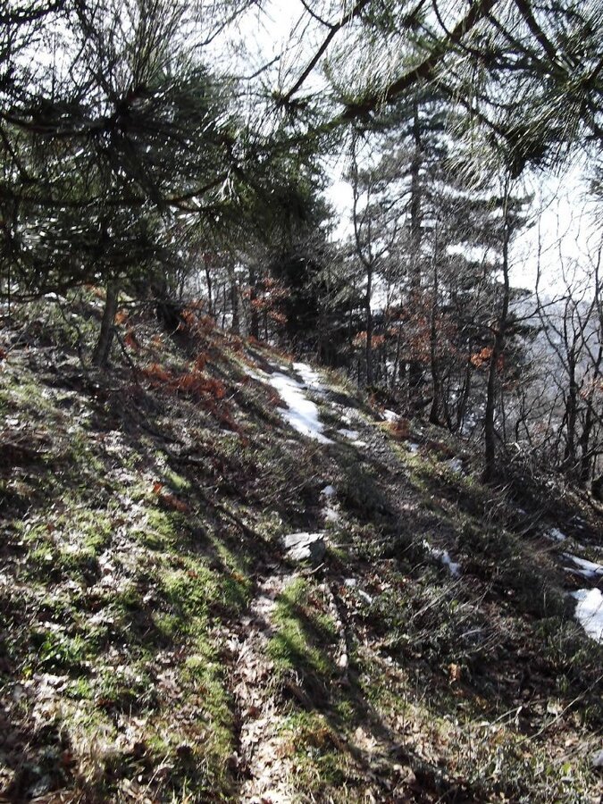 BaÃƒÂƒÃ‚Â„ÃƒÂ‚Ã‚ÂŸyurdu DededaÃƒÂƒÃ‚Â„ÃƒÂ‚Ã‚ÂŸ (05 ÃƒÂƒÃ‚Â…ÃƒÂ‚Ã‚Âžubat 2012)  00031.jpg