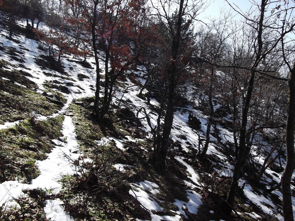 BaÃƒÂƒÃ‚Â„ÃƒÂ‚Ã‚ÂŸyurdu DededaÃƒÂƒÃ‚Â„ÃƒÂ‚Ã‚ÂŸ (05 ÃƒÂƒÃ‚Â…ÃƒÂ‚Ã‚Âžubat 2012)  00032.jpg