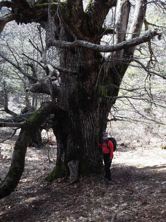 BaÃƒÂƒÃ‚Â„ÃƒÂ‚Ã‚ÂŸyurdu DededaÃƒÂƒÃ‚Â„ÃƒÂ‚Ã‚ÂŸ (05 ÃƒÂƒÃ‚Â…ÃƒÂ‚Ã‚Âžubat 2012)  00046.jpg