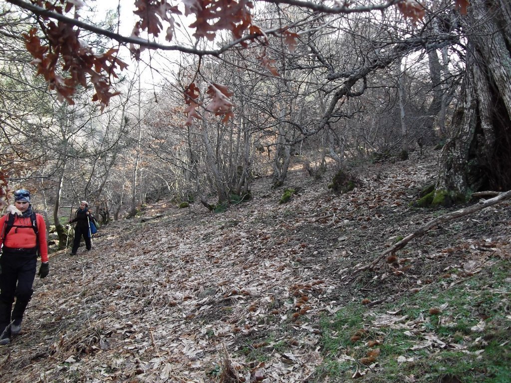 BaÃƒÂƒÃ‚Â„ÃƒÂ‚Ã‚ÂŸyurdu DededaÃƒÂƒÃ‚Â„ÃƒÂ‚Ã‚ÂŸ (05 ÃƒÂƒÃ‚Â…ÃƒÂ‚Ã‚Âžubat 2012)  00049.jpg