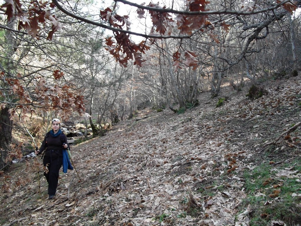 BaÃƒÂƒÃ‚Â„ÃƒÂ‚Ã‚ÂŸyurdu DededaÃƒÂƒÃ‚Â„ÃƒÂ‚Ã‚ÂŸ (05 ÃƒÂƒÃ‚Â…ÃƒÂ‚Ã‚Âžubat 2012)  00050.jpg