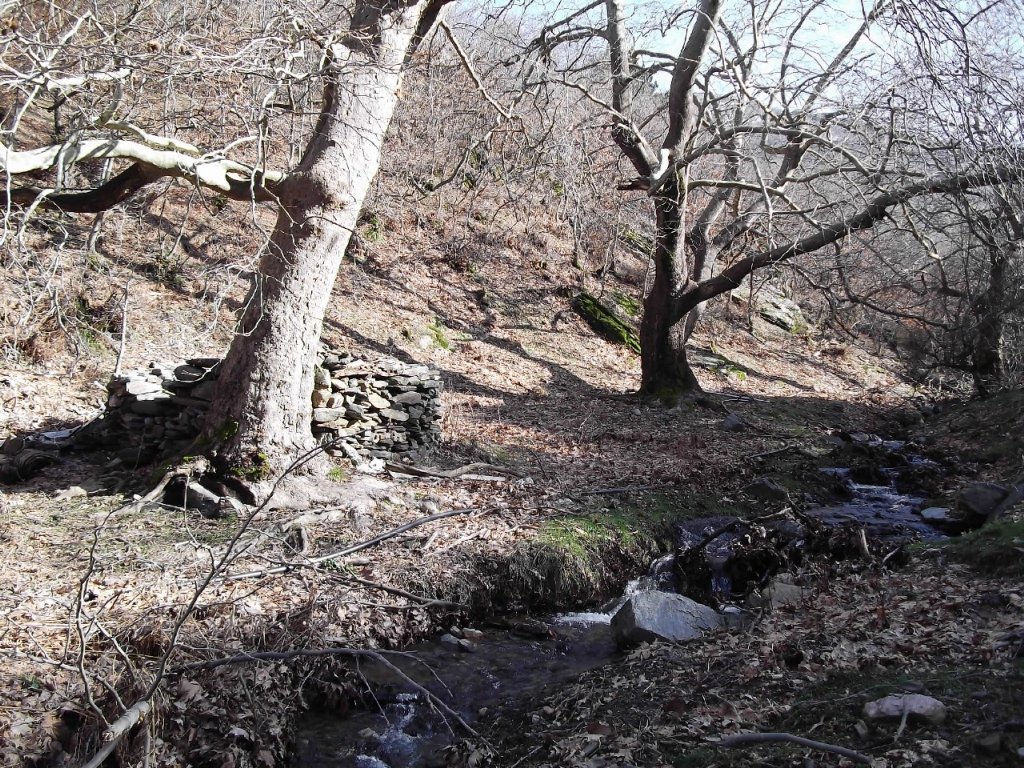 BaÃƒÂƒÃ‚Â„ÃƒÂ‚Ã‚ÂŸyurdu DededaÃƒÂƒÃ‚Â„ÃƒÂ‚Ã‚ÂŸ (05 ÃƒÂƒÃ‚Â…ÃƒÂ‚Ã‚Âžubat 2012)  00051.jpg