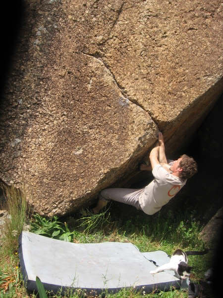 bafagl8.jpg