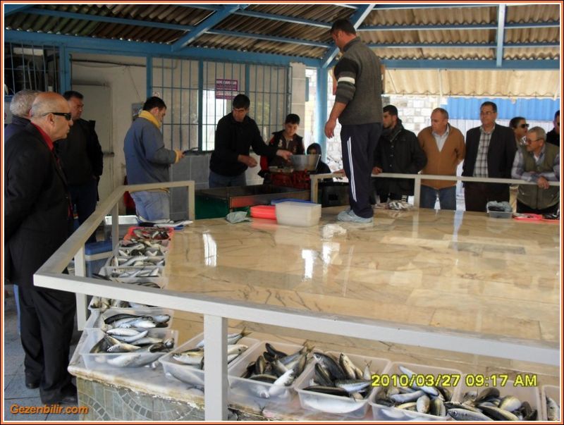 BalÃƒÂƒÃ‚Â„ÃƒÂ‚Ã‚Â±k Mezat.jpg