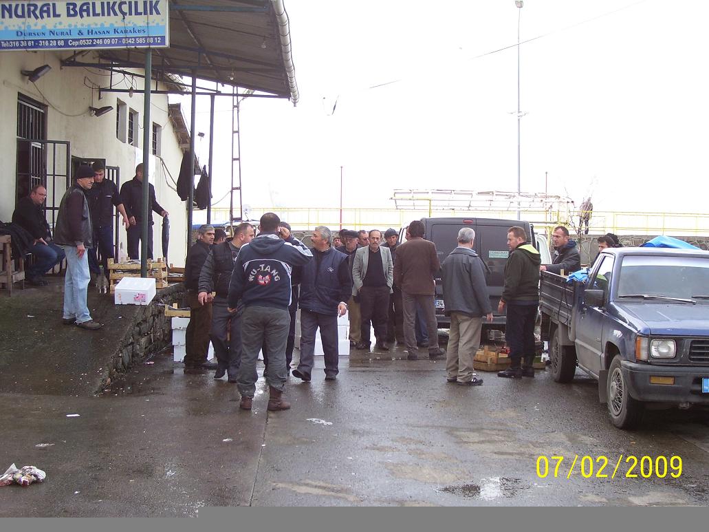 Balık mezatı.jpg Balık mezatı.jpg