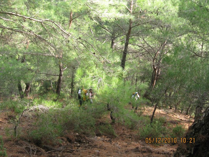 BalÃƒÂƒÃ‚ÂƒÃƒÂ‚Ã‚Â§ova - Baraj 05.12.2010 013.jpg