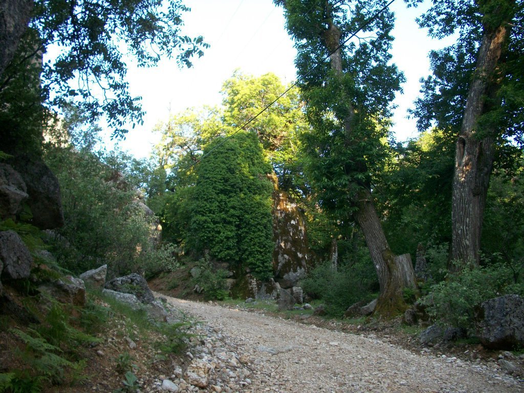 BALLIBUCAK 027.jpg