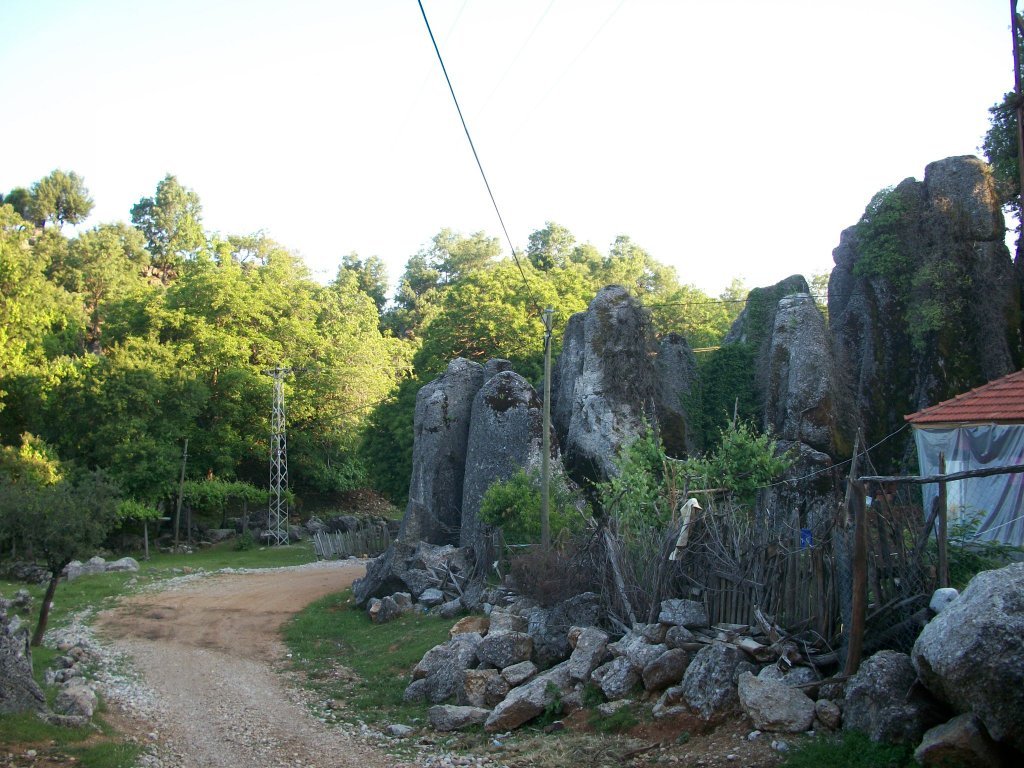 BALLIBUCAK 046.jpg