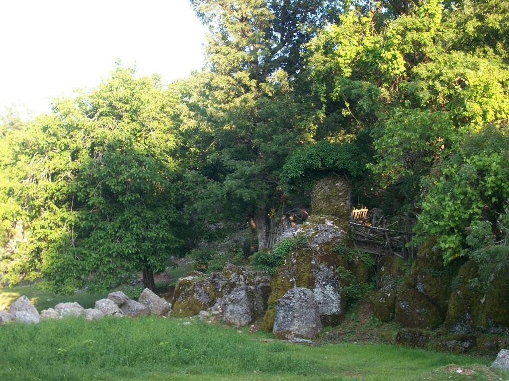 BALLIBUCAK 049.jpg