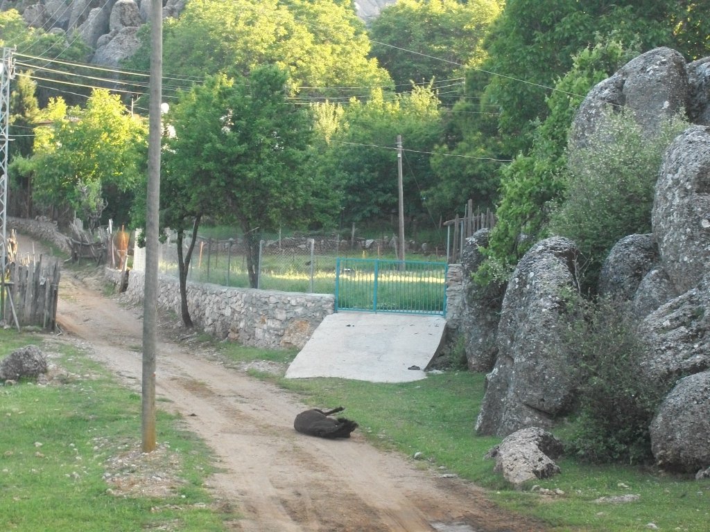 BALLIBUCAK 053.jpg