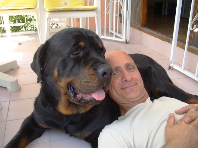 Balou (11).jpg
