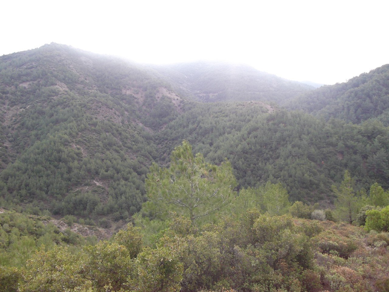 Baraj-BeyoÃƒÂƒÃ‚Â„ÃƒÂ‚Ã‚ÂŸlu-Behzat (3B) (11 AralÃƒÂƒÃ‚Â„ÃƒÂ‚Ã‚Â±k 2011) 00012.jpg