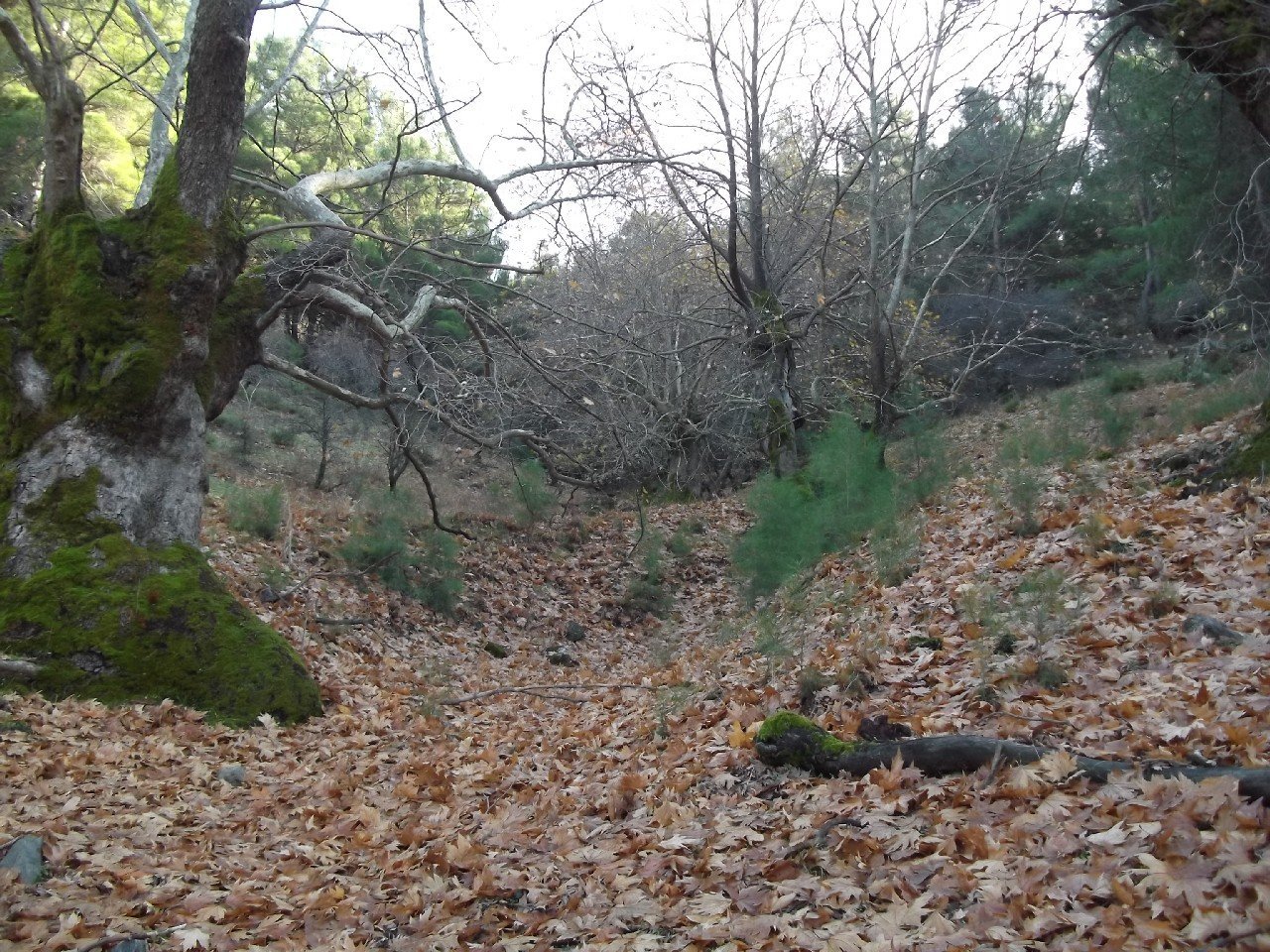 Baraj-BeyoÃƒÂƒÃ‚Â„ÃƒÂ‚Ã‚ÂŸlu-Behzat (3B) (11 AralÃƒÂƒÃ‚Â„ÃƒÂ‚Ã‚Â±k 2011) 00037.jpg