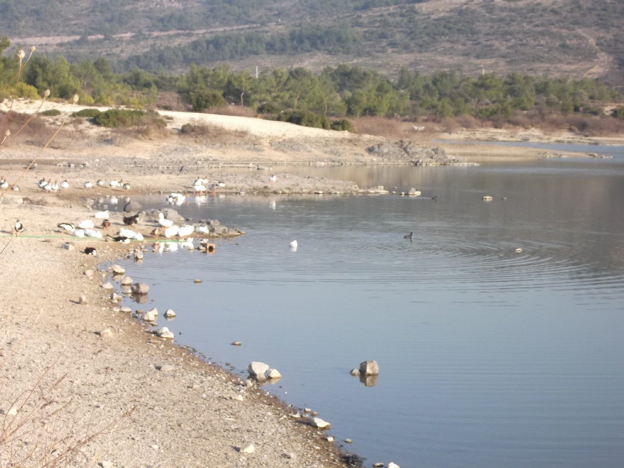 Barbaros Kamp (3-4 AralÃƒÂƒÃ‚Â„ÃƒÂ‚Ã‚Â±k 2011) 00022.jpg