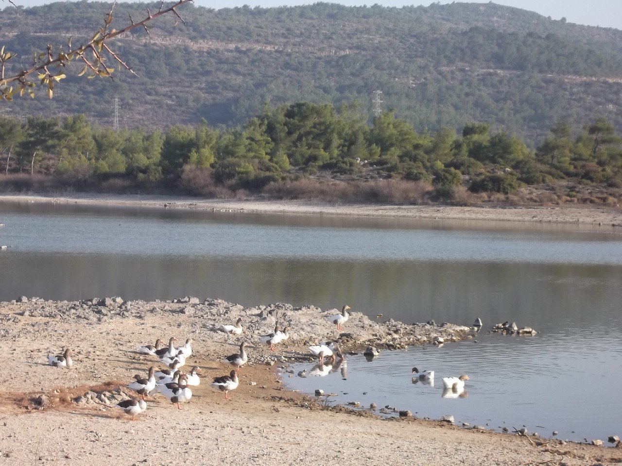 Barbaros Kamp (3-4 AralÃƒÂƒÃ‚Â„ÃƒÂ‚Ã‚Â±k 2011) 00023.jpg