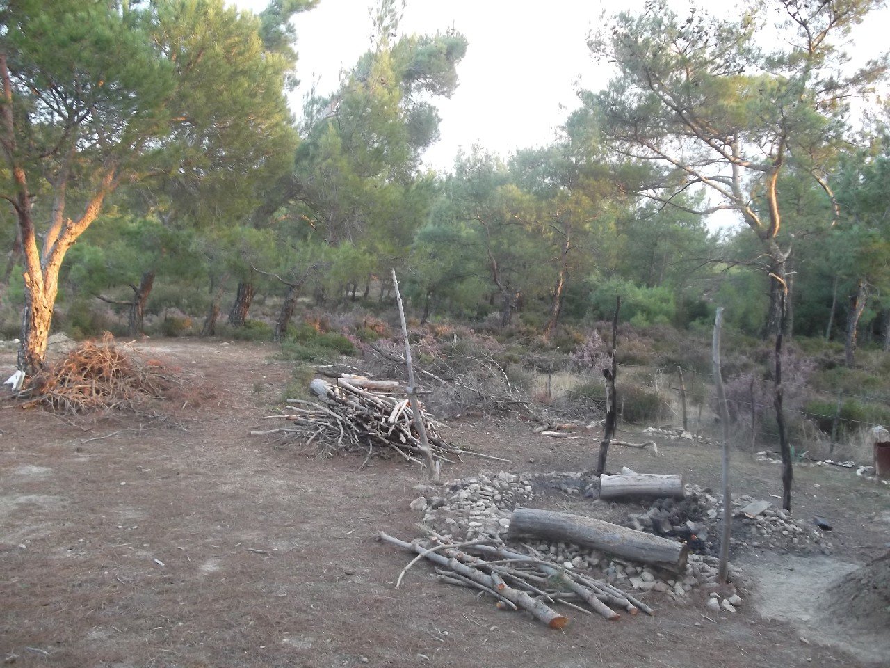 Barbaros Kamp (3-4 AralÃƒÂƒÃ‚Â„ÃƒÂ‚Ã‚Â±k 2011) 00074.jpg