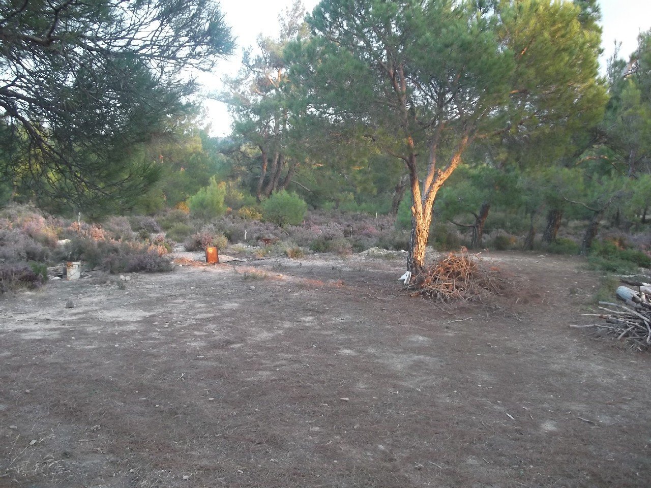 Barbaros Kamp (3-4 AralÃƒÂƒÃ‚Â„ÃƒÂ‚Ã‚Â±k 2011) 00075.jpg