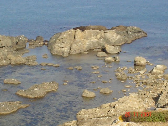 Belgrat Ormani   25.11.2007 037.jpg