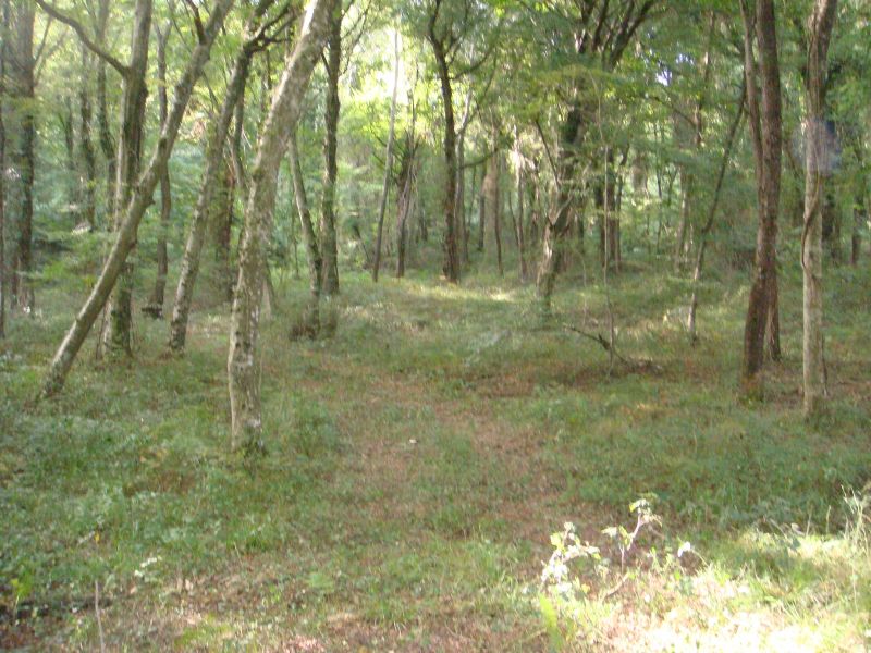 belgrat sezon 077.jpg