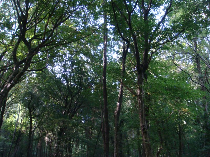 belgrat sezon 078.jpg