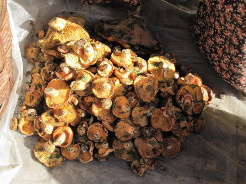 Bergama_Darkale_1 104.jpg