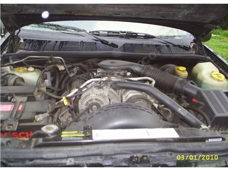 big_24955781o93.jpg