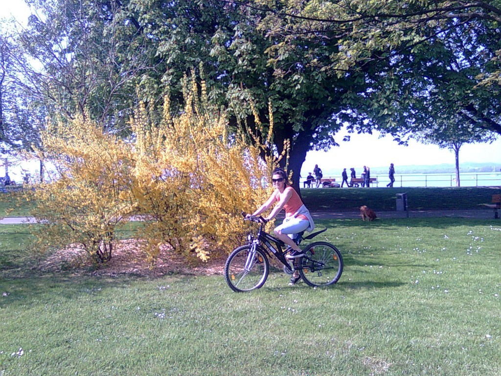 Bild0145.jpg