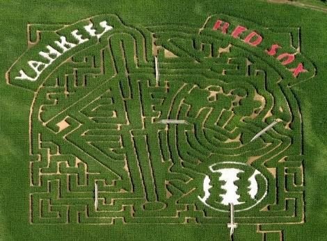 bilgisayar ile tarla sürülmü (4).jpg