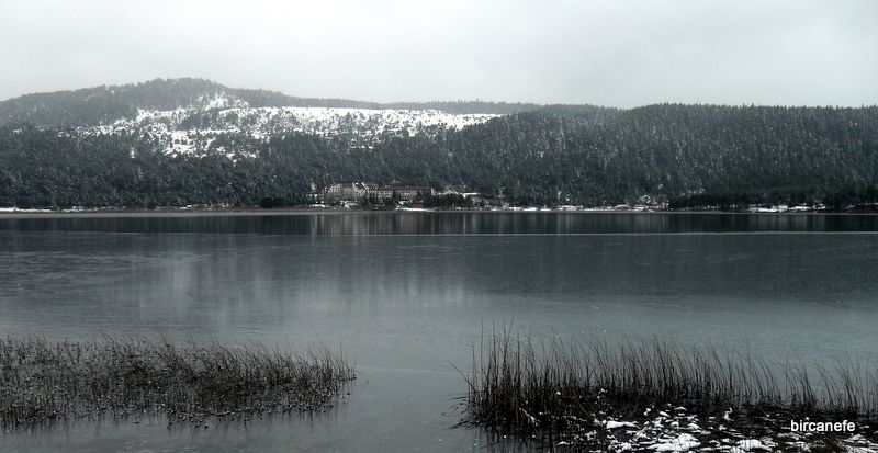 bircan (33).jpg